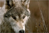 /album/galeria-de-fotos/moral-480-jpg/