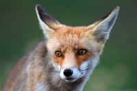 /album/galeria-de-fotos/img-0821-jpg/